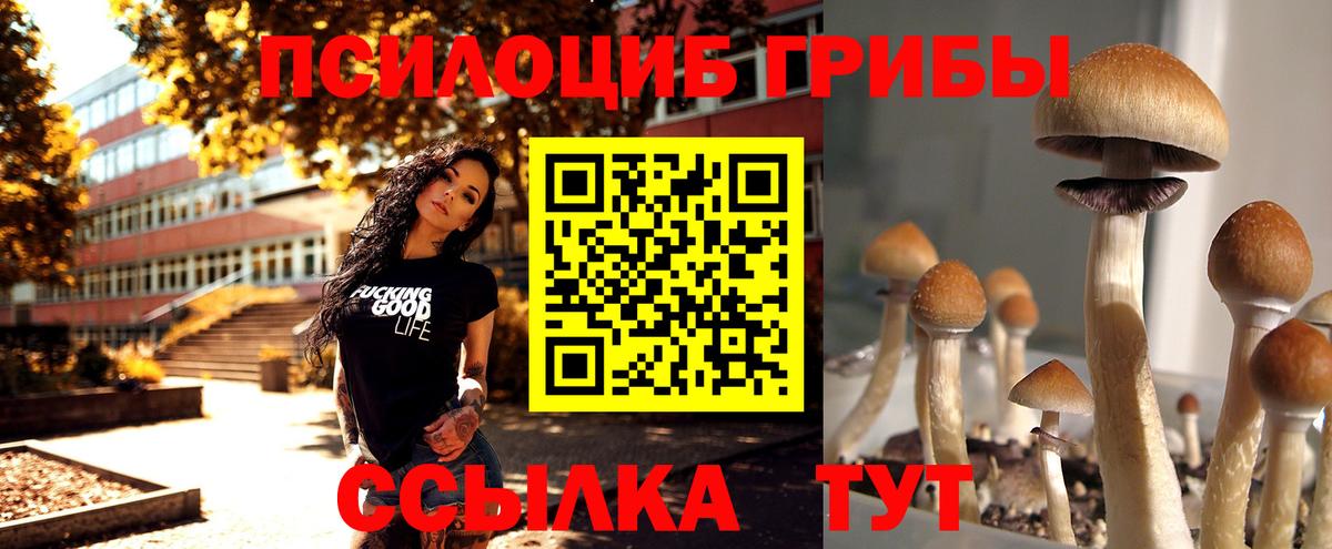 Галлюциногенные грибы прущие грибы Кимры