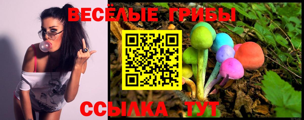 Галлюциногенные грибы прущие грибы  где можно купить наркотик  Кимры  Галлюциногенные грибы Magic Shrooms  Вход с VPN 